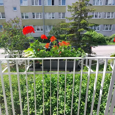 Przy Parku W Mragowie * Mrągowo
